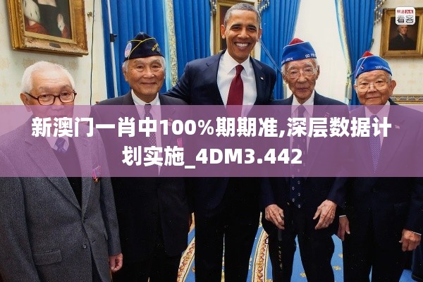 新澳门一肖中100%期期准,深层数据计划实施_4DM3.442