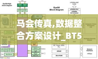 马会传真,数据整合方案设计_BT5.775