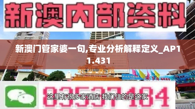新澳门管家婆一句,专业分析解释定义_AP11.431
