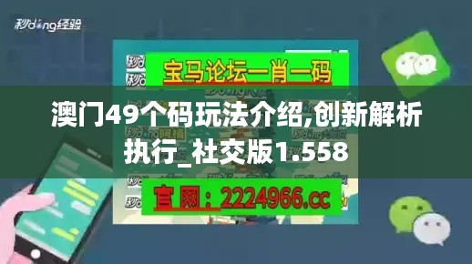 澳门49个码玩法介绍,创新解析执行_社交版1.558