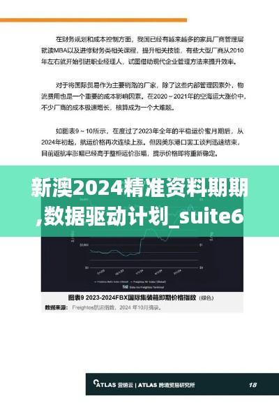 新澳2024精准资料期期,数据驱动计划_suite6.317
