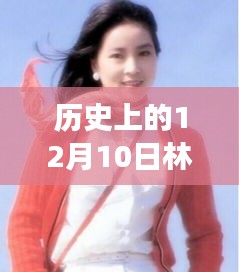 林凤娇十二月十日历史最新动态聚焦，林凤娇发展轨迹揭秘