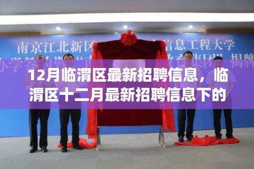 临渭区十二月最新招聘信息汇总与就业市场观察分析