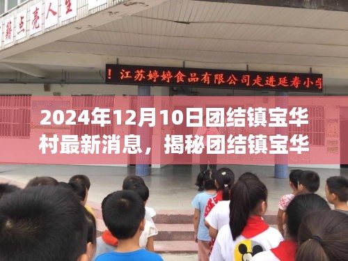 揭秘团结镇宝华村隐藏瑰宝，特色小店的最新故事（2024年12月10日）