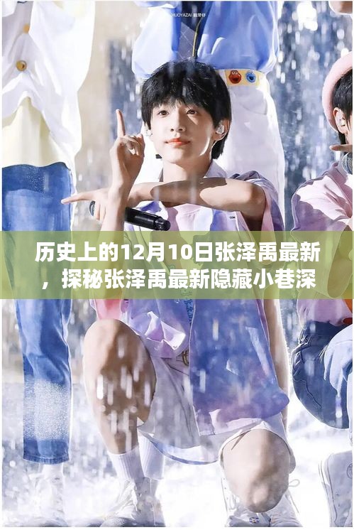 探秘张泽禹最新隐藏小巷特色小店，揭秘历史印记的12月10日故事之旅