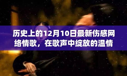 12月10日情歌记忆之旅，温情绽放的伤感旋律