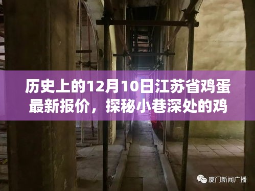 江苏省鸡蛋最新报价揭秘，探秘小巷深处的鸡蛋情缘与背后的故事