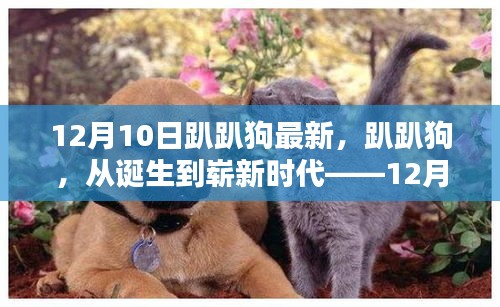 趴趴狗，从诞生到崭新时代的深度回眸——12月10日最新更新