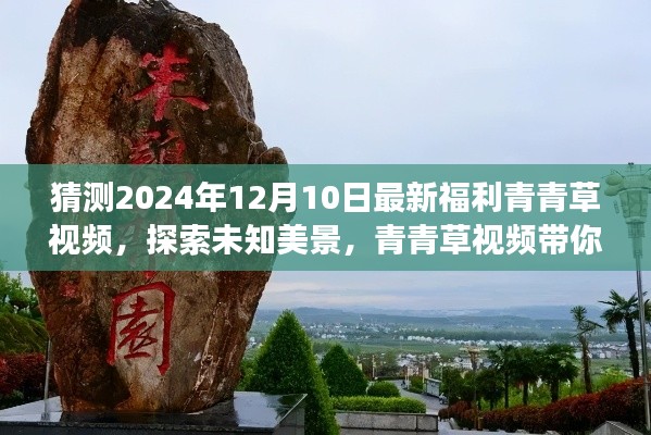 青青草视频年终惊喜之旅，探索未知美景，领略自然魅力