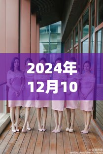 龙飞九五 第4页