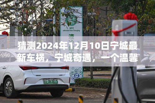 宁城奇遇，温馨车祸故事揭晓，2024年12月10日