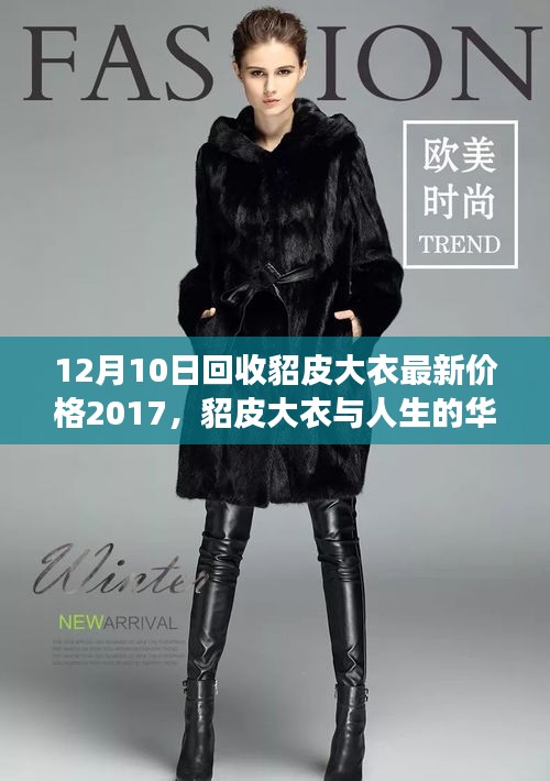 貂皮大衣的华丽转变与励志故事，从价格到自信之路的探寻