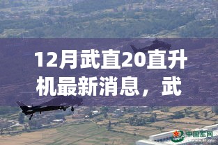 武直20直升机翱翔新篇章，学习变化，自信成就梦想新高度（最新消息）