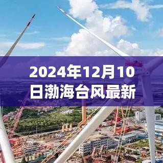 渤海台风最新动态，揭秘渤海台风最新信息（附科普解读）