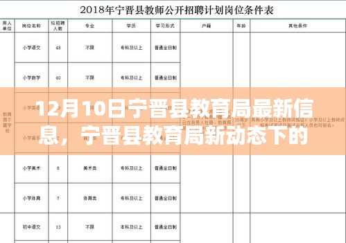 宁晋县教育局新动态揭秘，巷弄秘境中的隐藏小店探秘之旅