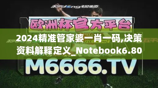 2024精准管家婆一肖一码,决策资料解释定义_Notebook6.809