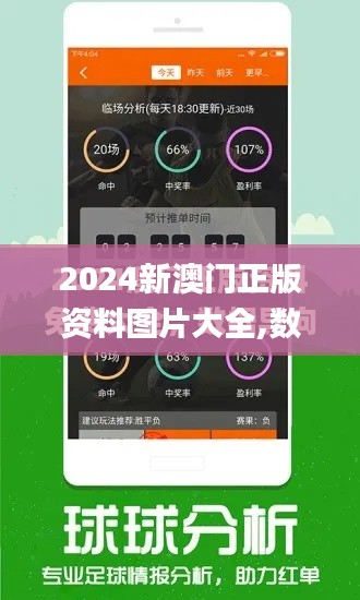 2024新澳门正版资料图片大全,数据导向实施_YE版3.886