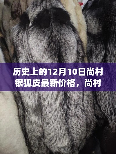 探寻尚村银狐皮历史价格印记，揭秘特殊日变迁与最新价格动态