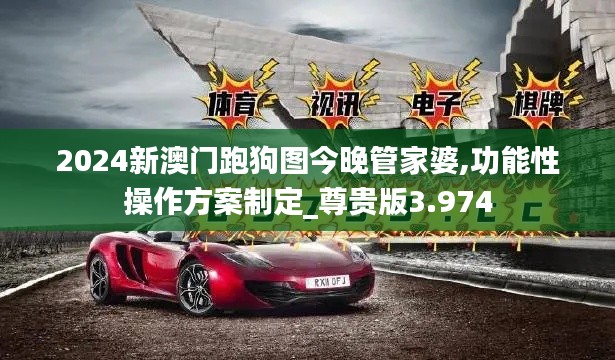 2024新澳门跑狗图今晚管家婆,功能性操作方案制定_尊贵版3.974