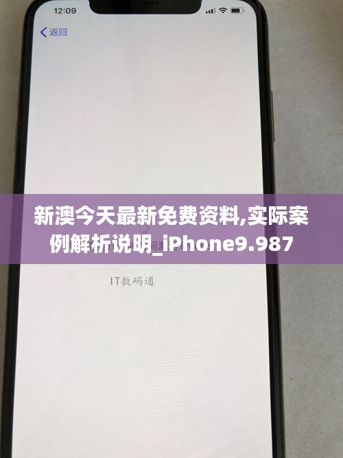 新澳今天最新免费资料,实际案例解析说明_iPhone9.987