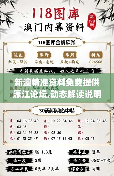 新澳精准资料免费提供濠江论坛,动态解读说明_复古款4.472