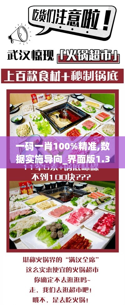 一码一肖100%精准,数据实施导向_界面版1.389