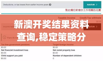 新澳开奖结果资料查询,稳定策略分析_RemixOS8.245