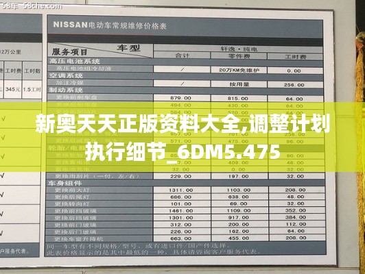 新奥天天正版资料大全,调整计划执行细节_6DM5.475