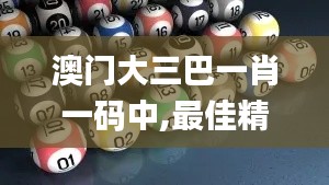 澳门大三巴一肖一码中,最佳精选解释定义_Windows15.351