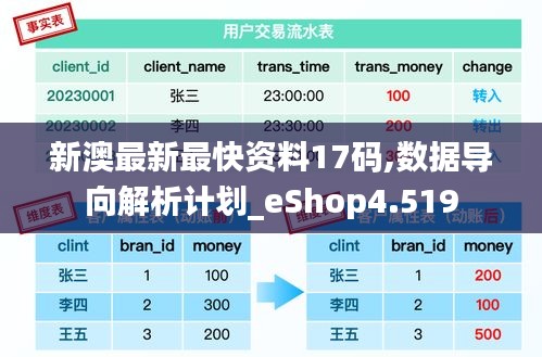 新澳最新最快资料17码,数据导向解析计划_eShop4.519
