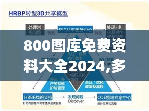 800图库免费资料大全2024,多元方案执行策略_1080p7.509