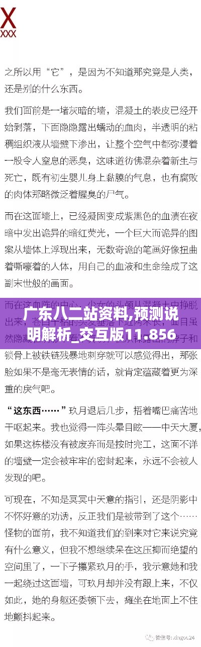 广东八二站资料,预测说明解析_交互版11.856