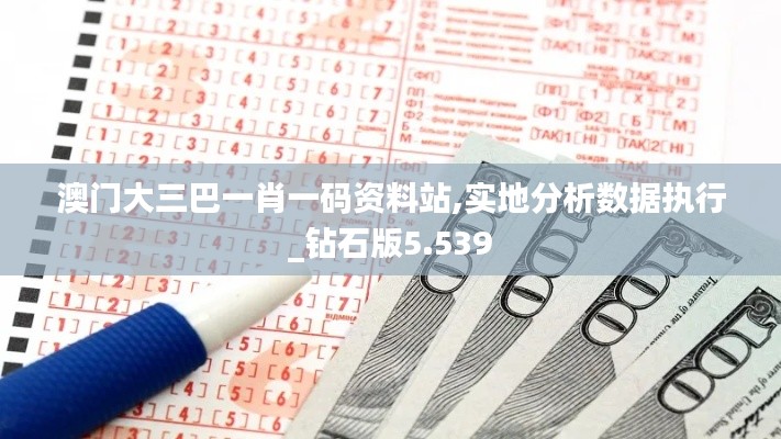 澳门大三巴一肖一码资料站,实地分析数据执行_钻石版5.539