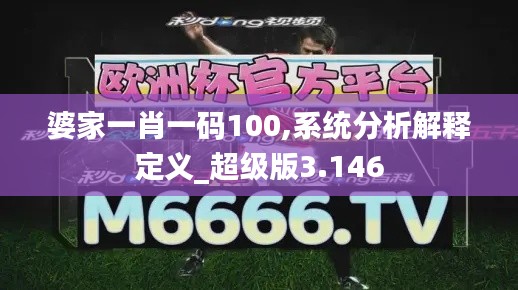 婆家一肖一码100,系统分析解释定义_超级版3.146