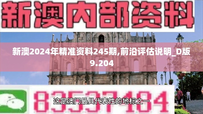 新澳2024年精准资料245期,前沿评估说明_D版9.204