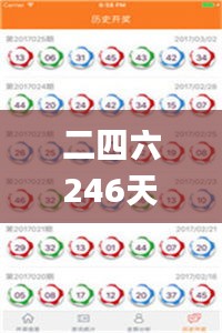二四六246天天彩资料,适用解析方案_入门版2.400
