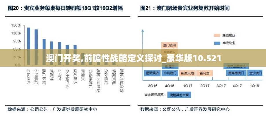 澳门开奖,前瞻性战略定义探讨_豪华版10.521