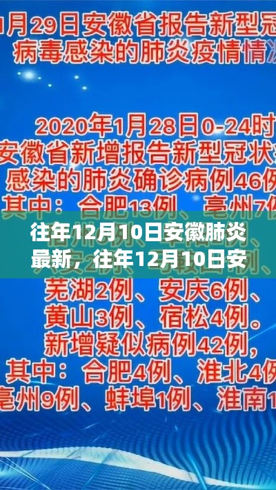 鸟穷则啄 第4页