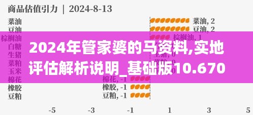2024年管家婆的马资料,实地评估解析说明_基础版10.670