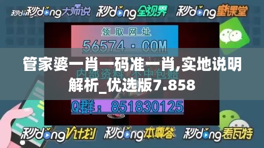管家婆一肖一码准一肖,实地说明解析_优选版7.858