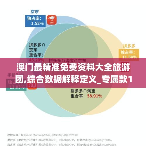 澳门最精准免费资料大全旅游团,综合数据解释定义_专属款15.507