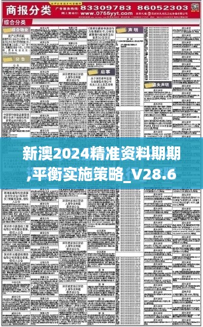 新澳2024精准资料期期,平衡实施策略_V28.699