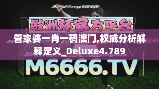 管家婆一肖一码澳门,权威分析解释定义_Deluxe4.789