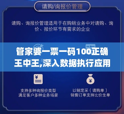 管家婆一票一码100正确王中王,深入数据执行应用_超值版10.811
