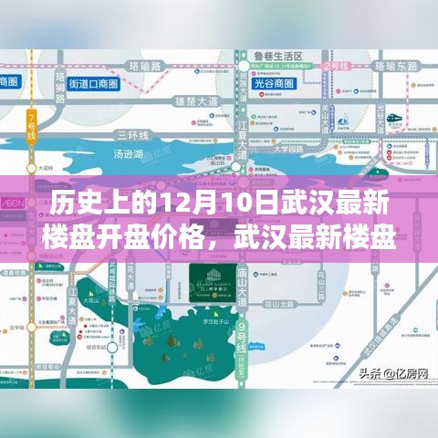 武汉最新楼盘开盘历史与指南，掌握历史开盘价格，轻松选购理想房源当日动态解析（附最新开盘价格）