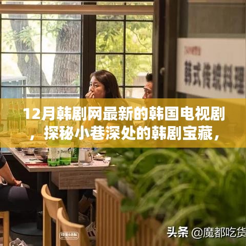 探秘最新韩剧宝藏，隐藏在12月韩剧网下的特色小店与小巷深处的电视剧宝藏