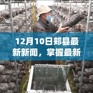12月10日郏县新闻速递，最新资讯获取与解读指南