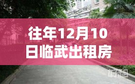 探秘临武小巷深处的独特出租屋与隐藏小店，临武出租房最新风情报道（12月10日）