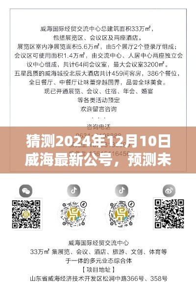 2024年威海公号新动向预测与解析
