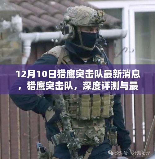 猎鹰突击队最新动态，深度评测与消息解析